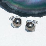 Perles de Tahiti Boucles D'oreilles